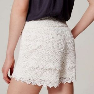 LOFT | Lace The Riviera Short 6 Petite like a Reg 4